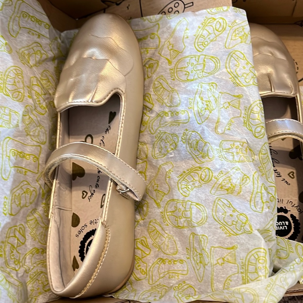 These Livie and Luca girls shoes are brand new. They are very very comfortable.